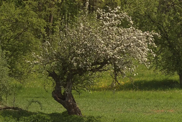 ontario 003