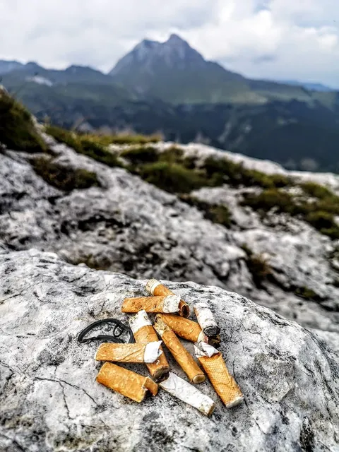 Thaler_Litter-1